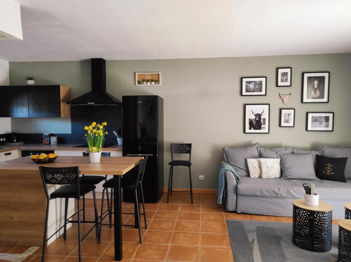 Maison De Dans Résidence Avec Piscine Arles